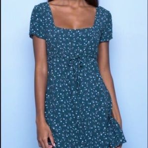 Brandy Melville Victoria green floral dress